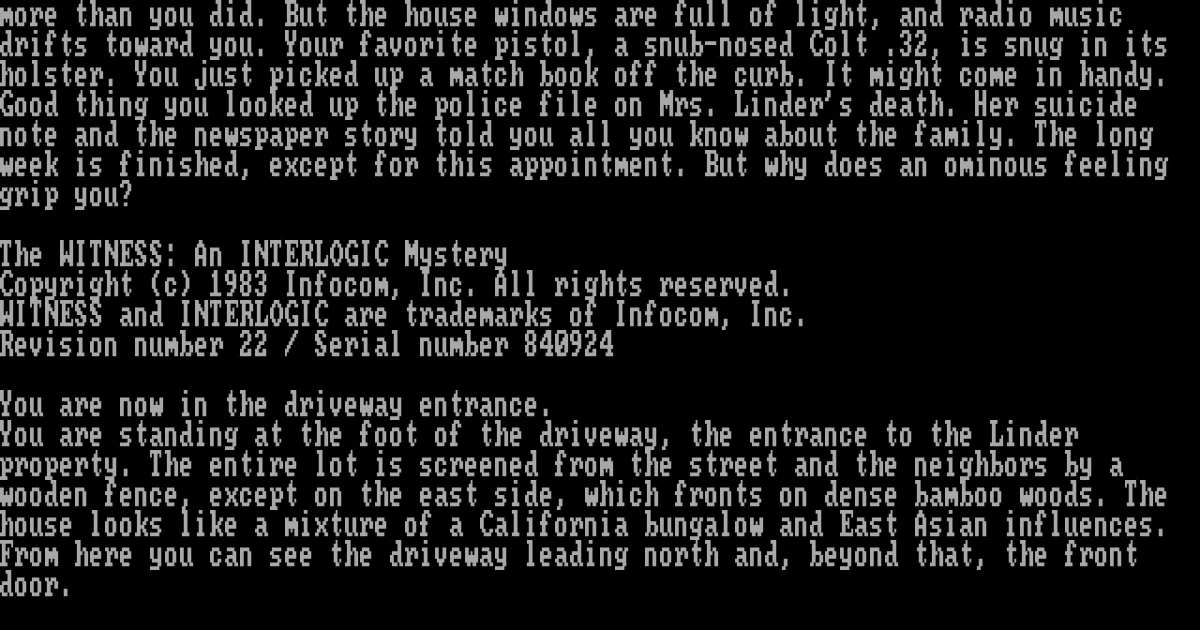 The Witness