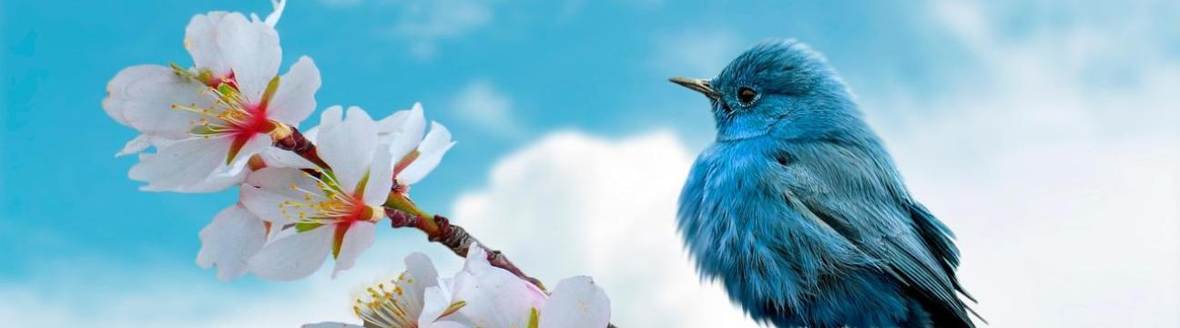Nature News