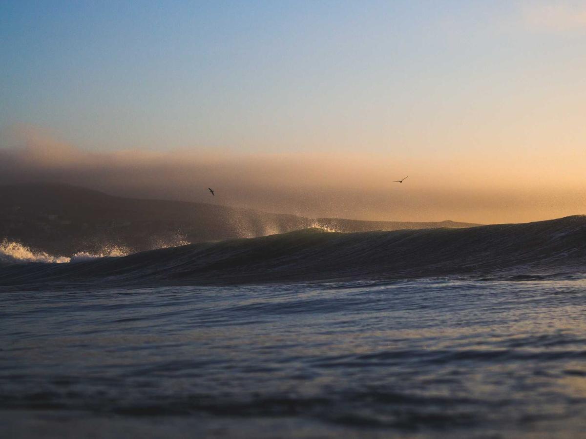 Wellness Budget Planner PDF