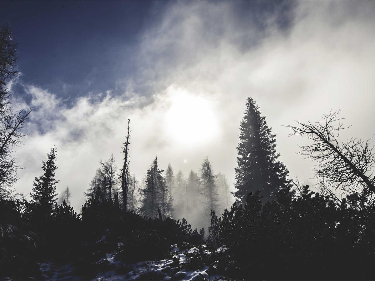 Nurture Baby Milestone Cards