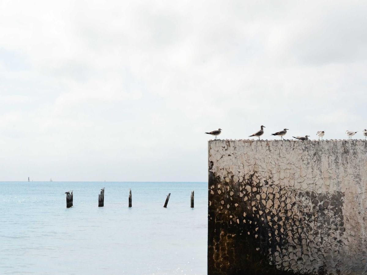 RoadGuard 4K Dash Cam