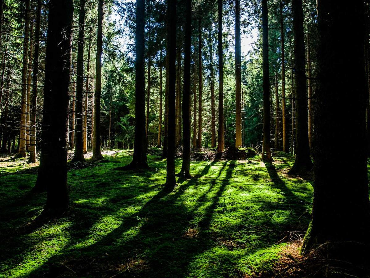 Lightroom Preset Starter Pack