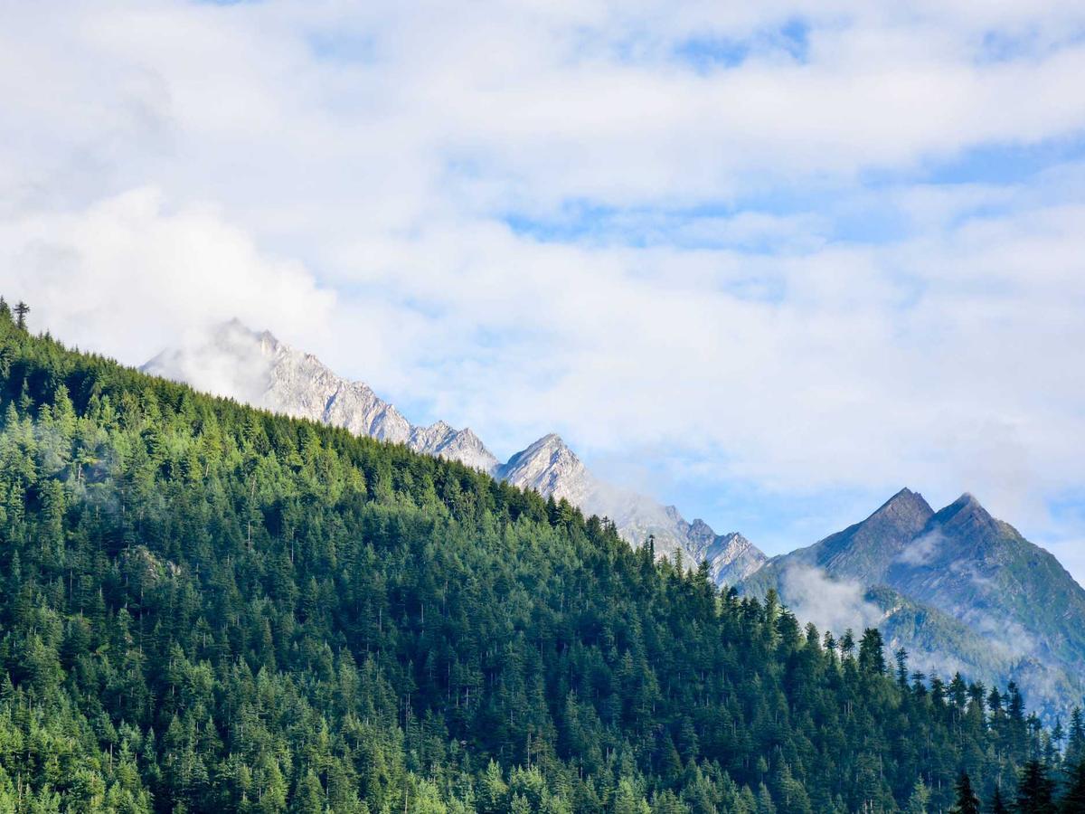 Ecommerce SEO Checklist Pack